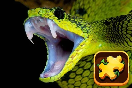 Snake Puzzle Challenge