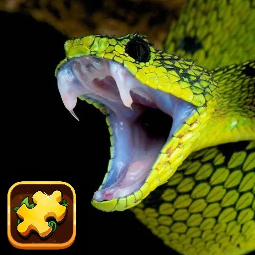 Snake Puzzle Challenge