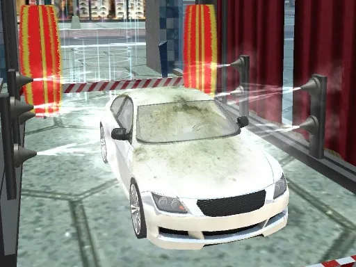 Sports Car Wash