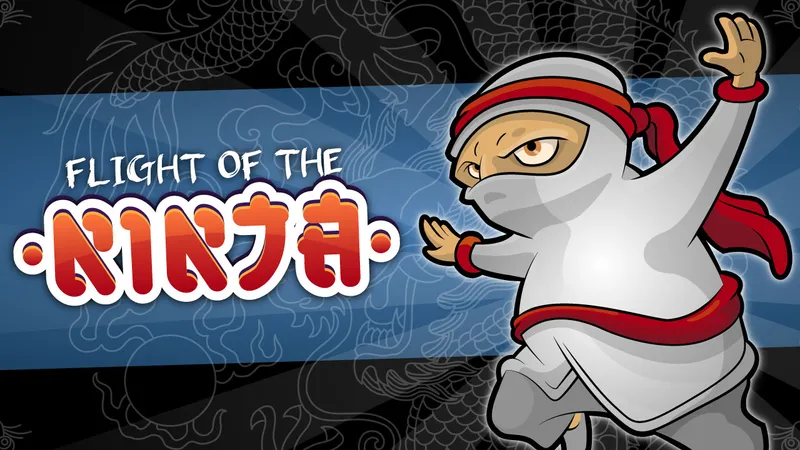 Flight Of The Ninja