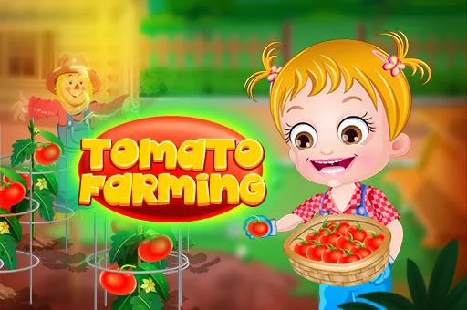 Baby Hazel Tomato Farming