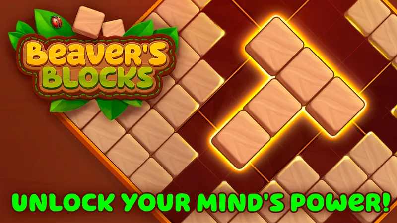 Beaver's Blocks