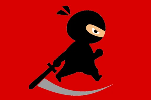 Mr Ninja Fighter