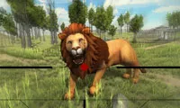 Lion Hunting 3D