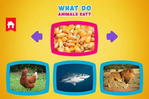 What do animals eat