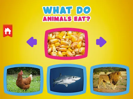 What do animals eat