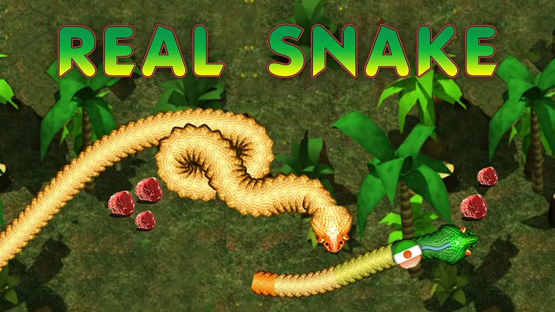 Real Snakes