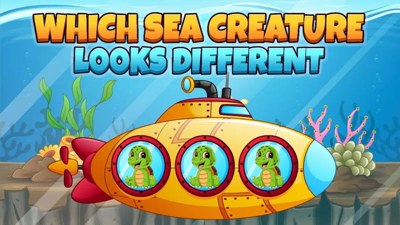 Which Sea Creature Looks Different