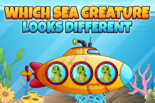 Which Sea Creature Looks Different