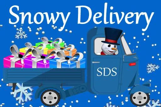 Snowy Delivery