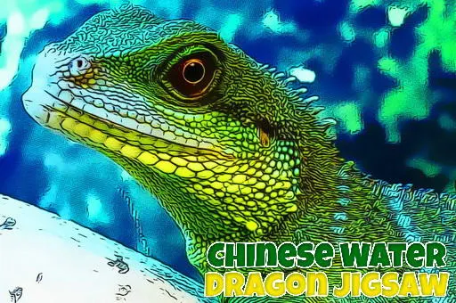 Chinese Water Dragon Jigsaw