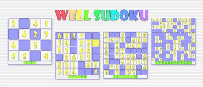 Well Sudoku