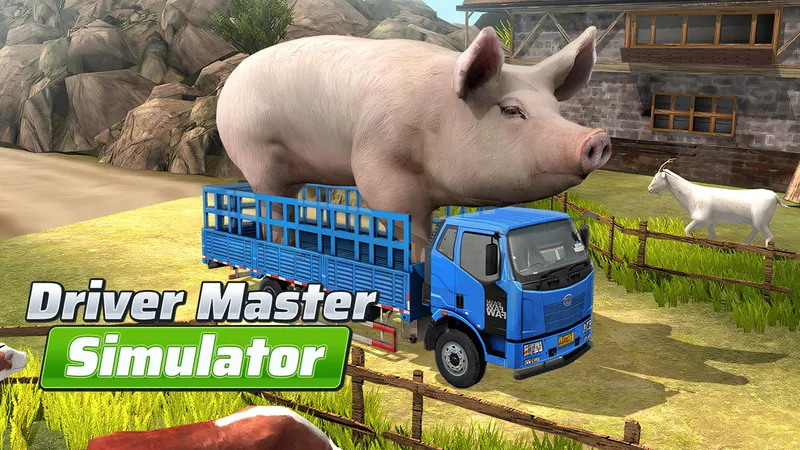 Driver Master Simulator