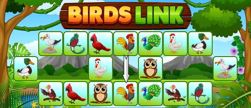 Birds Link