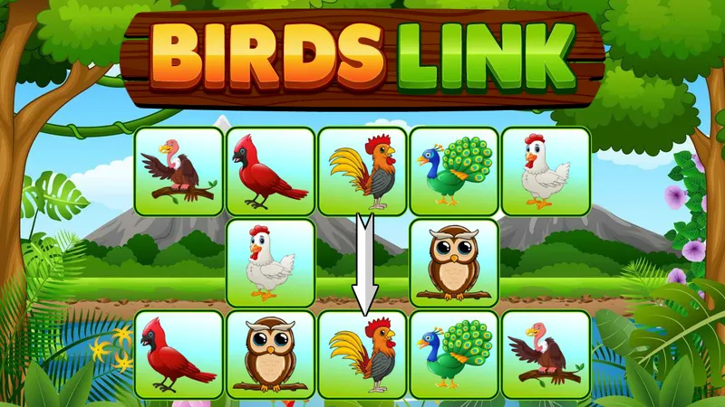 Birds Link