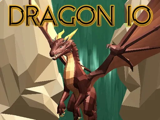 Dragon io