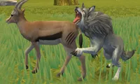 Wolf Life Simulator