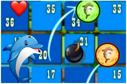 Dolphin Dice Race