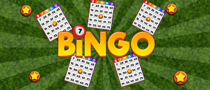 Bingo Revealer