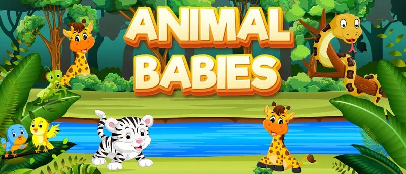 Animal Babies