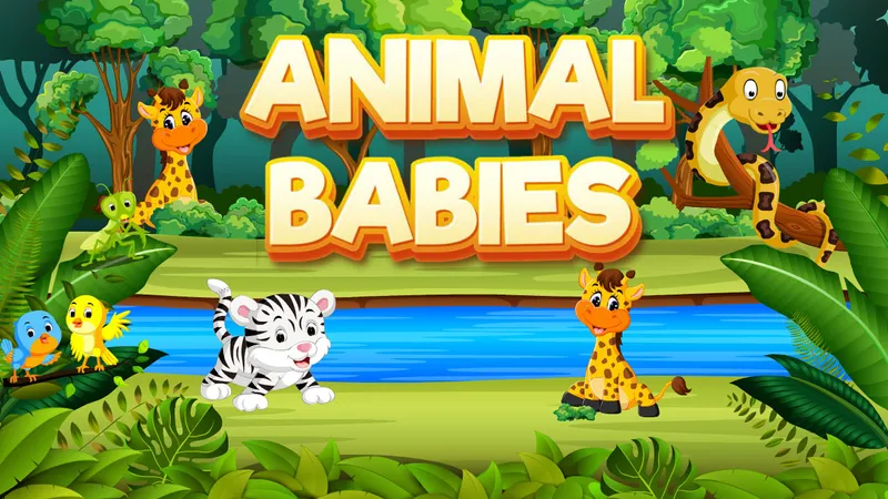 Animal Babies