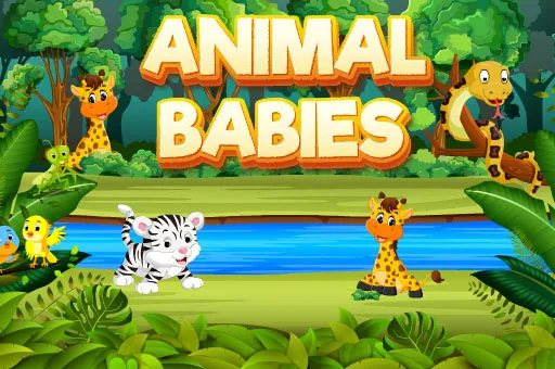 Animal Babies