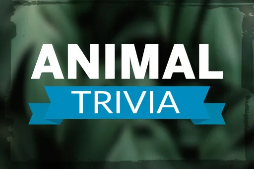 Animal Trivia