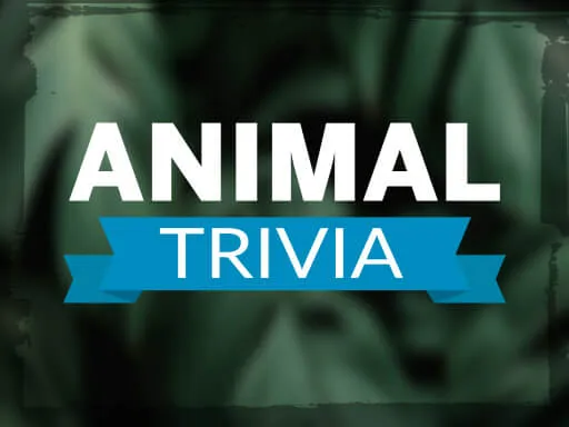 Animal Trivia