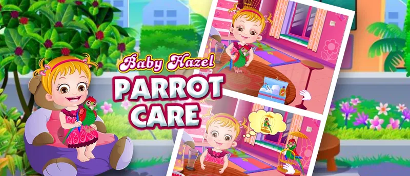 Baby Hazel Parrot Care