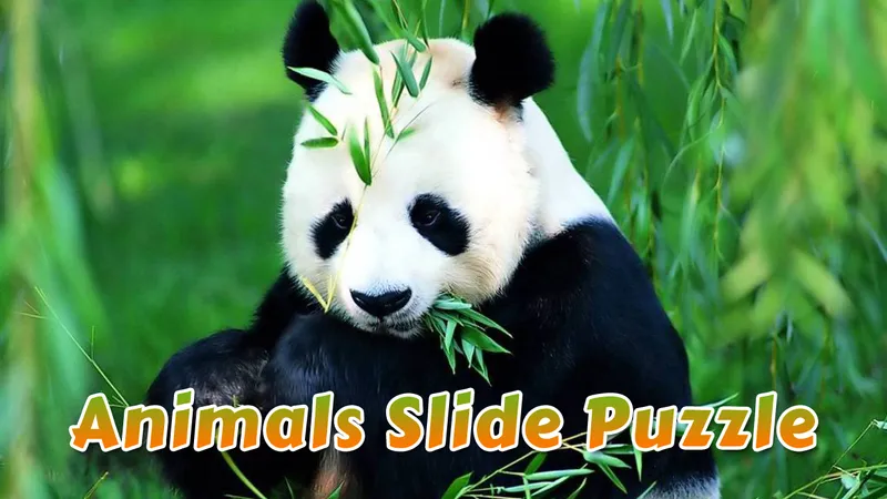 Animals Slide Puzzle