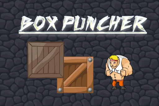 Box Puncher