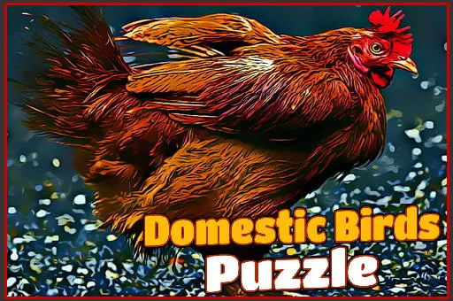 Domestic Birds Puzzle