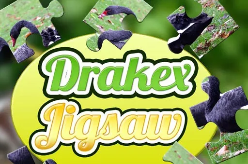 Drake Jigsaw