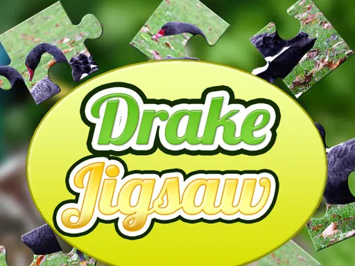 Drake Jigsaw