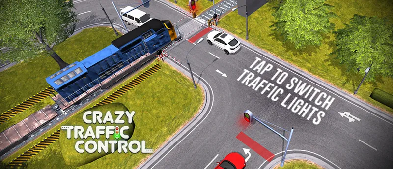 Crazy Traffic Control