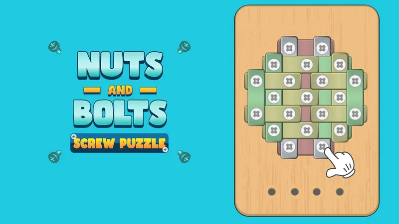 Nuts And Bolts Screw Puzzle