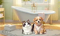 Pet Salon