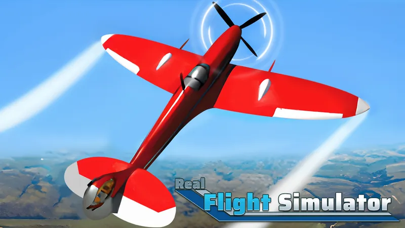 Real Flight Simulator